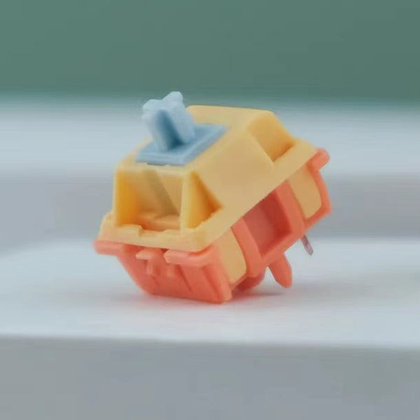Autumn Rain Switch Sample - Mechbox Ltd