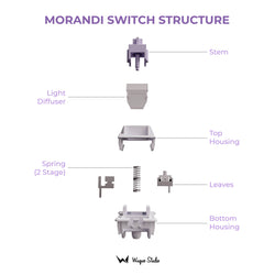 Wuque Studio WS Morandi Switch Sample